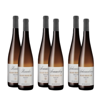 Julien Schaal Riesling Mixed Case 2024