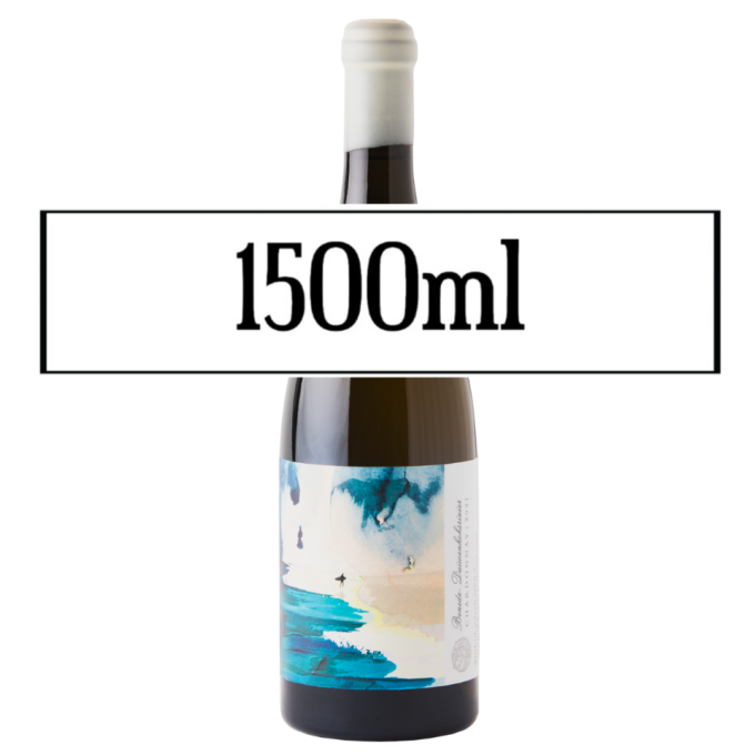 Trizanne Signature Wines 'Benede-Duiwenhoksrivier' Chardonnay 2023 MAGNUM