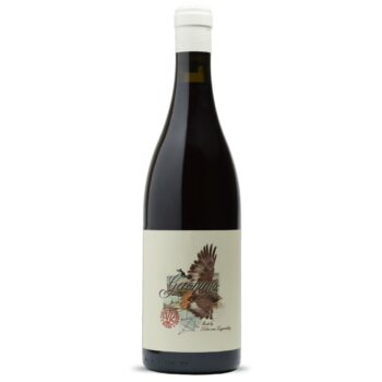 Van Loggerenberg 'Geronimo' Cinsaut 2023